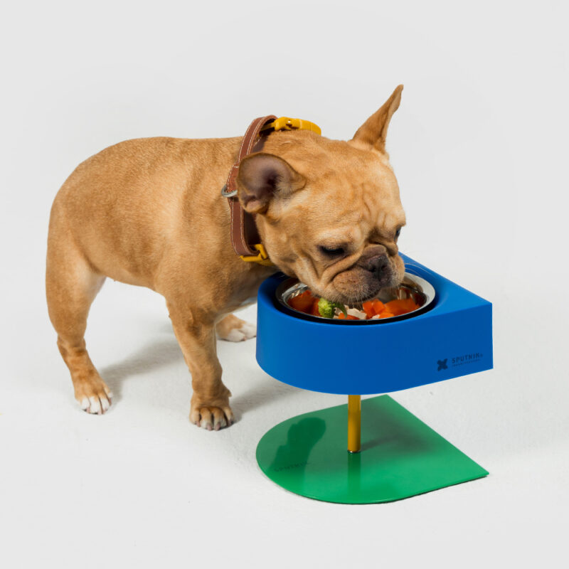 05 斯普尼克 增高防蟻碗 拼色 / 粉色