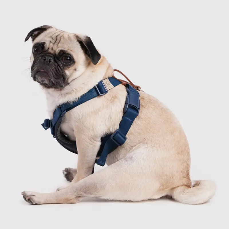 斯普尼克 胸背袋 藍色