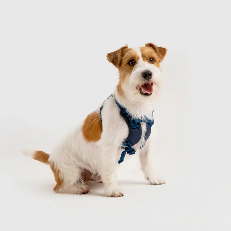 斯普尼克 胸背袋 藍色