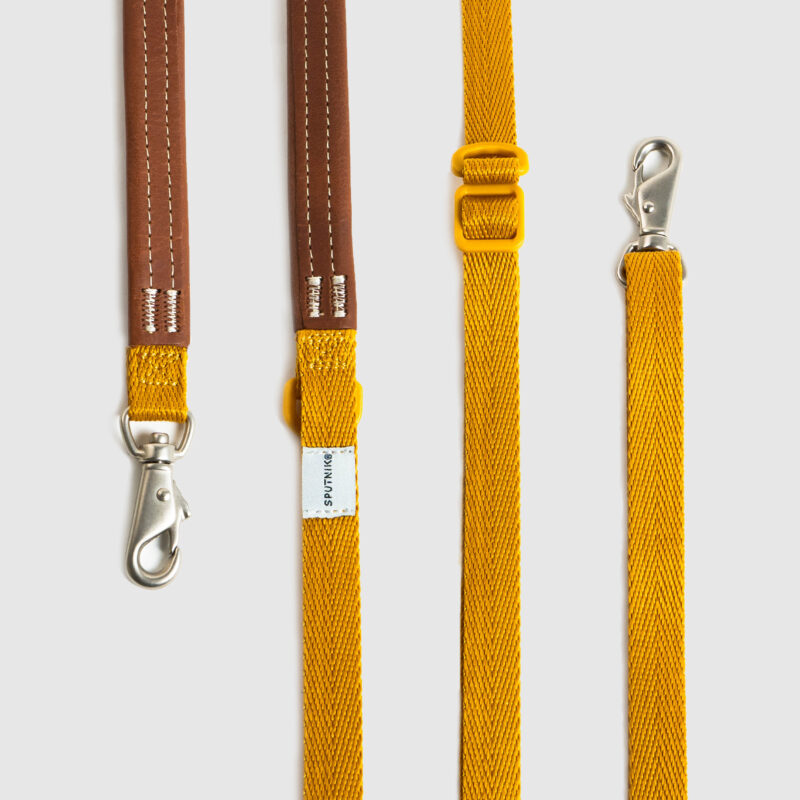 4條黃S 斯普尼克 牽繩 黃色