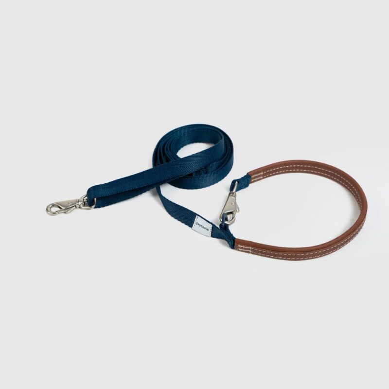 斯普尼克 牽繩 藍色