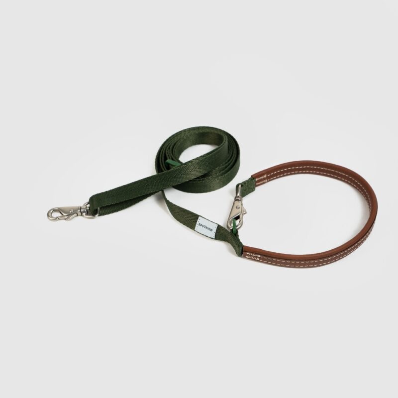 斯普尼克 牽繩 綠色