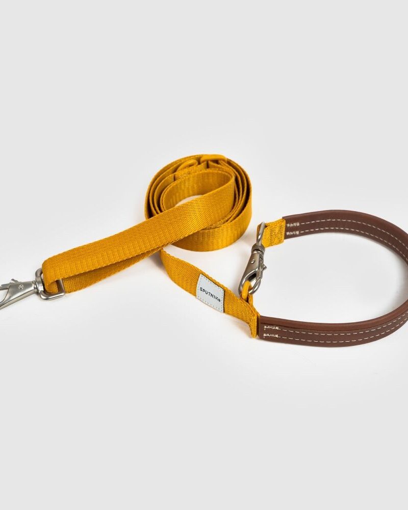 LYM 斯普尼克 牽繩 黃色
