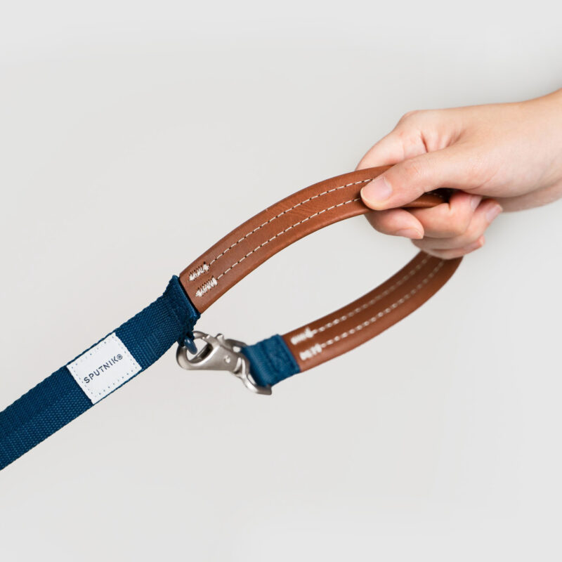 hands 斯普尼克 牽繩 黃色