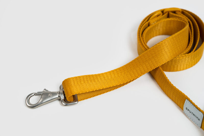 尼龍織帶 斯普尼克 牽繩 黃色