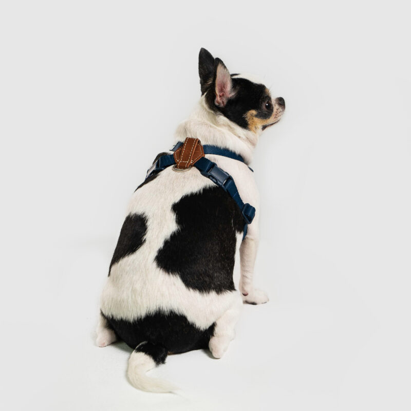 斯普尼克 胸背袋 藍色