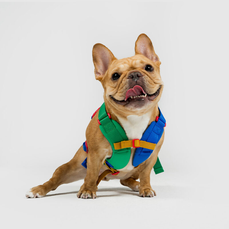 斯普尼克胸背帶 拼色