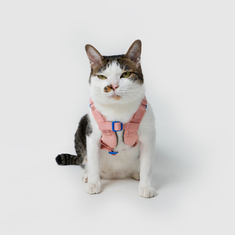 斯普尼克胸背帶 粉色