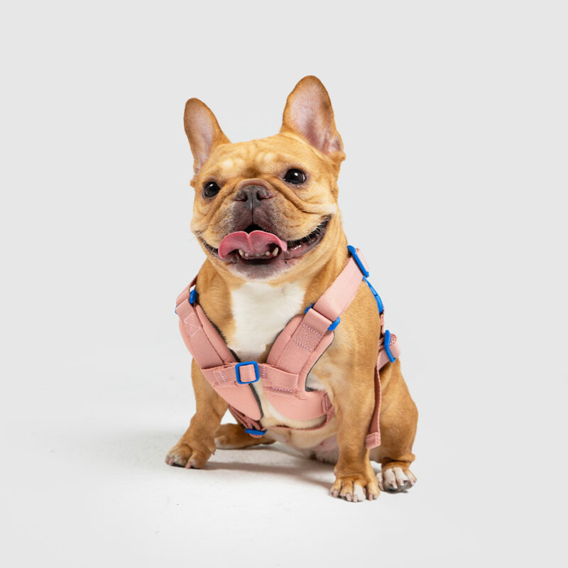 斯普尼克胸背帶 粉色