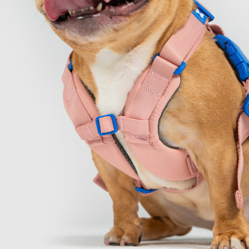 斯普尼克胸背帶 粉色