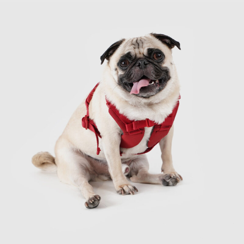 斯普尼克胸背帶 紅色