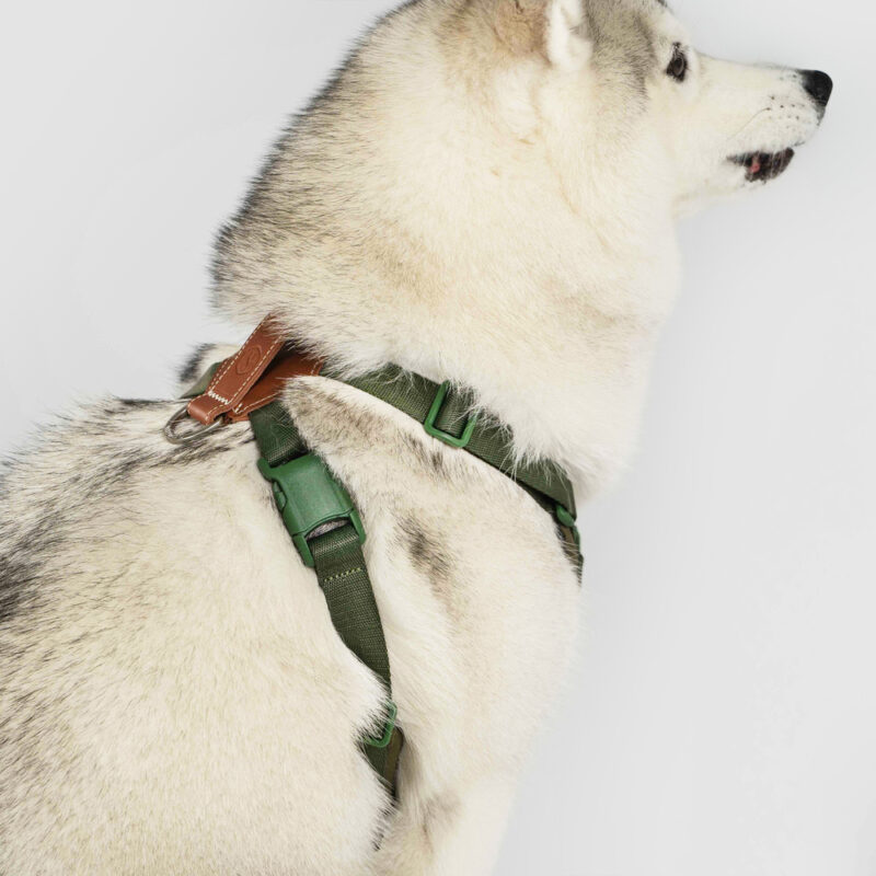 斯普尼克 胸背袋 綠色