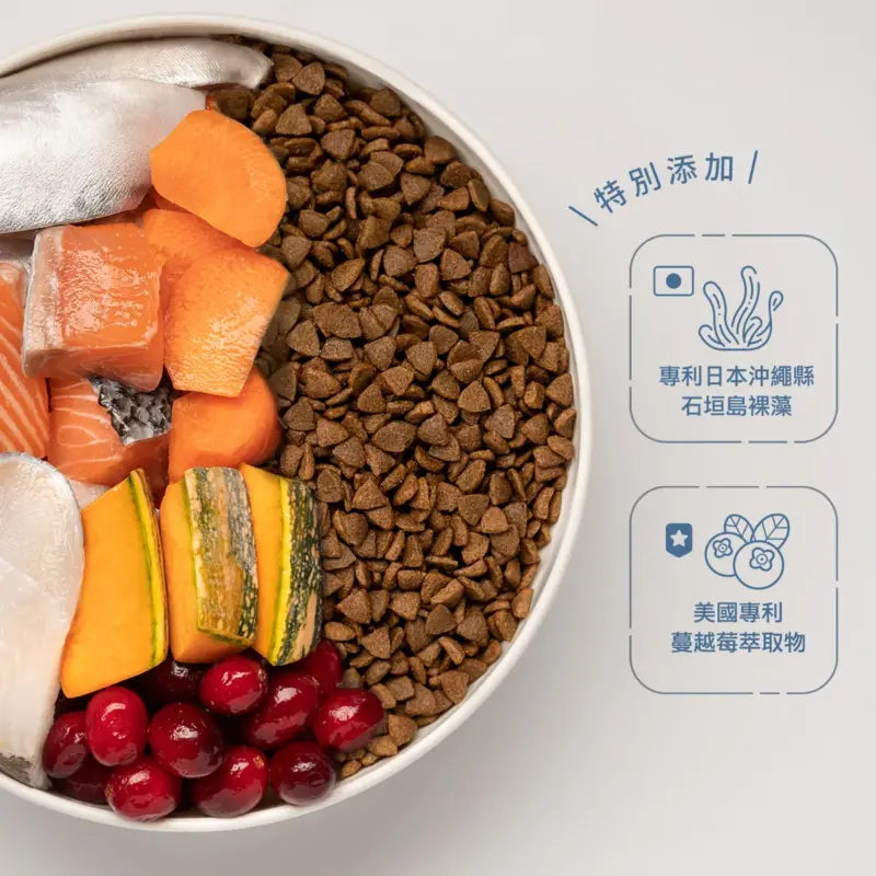 阿寶 肚肚派對貓吃魚 無穀貓飼料